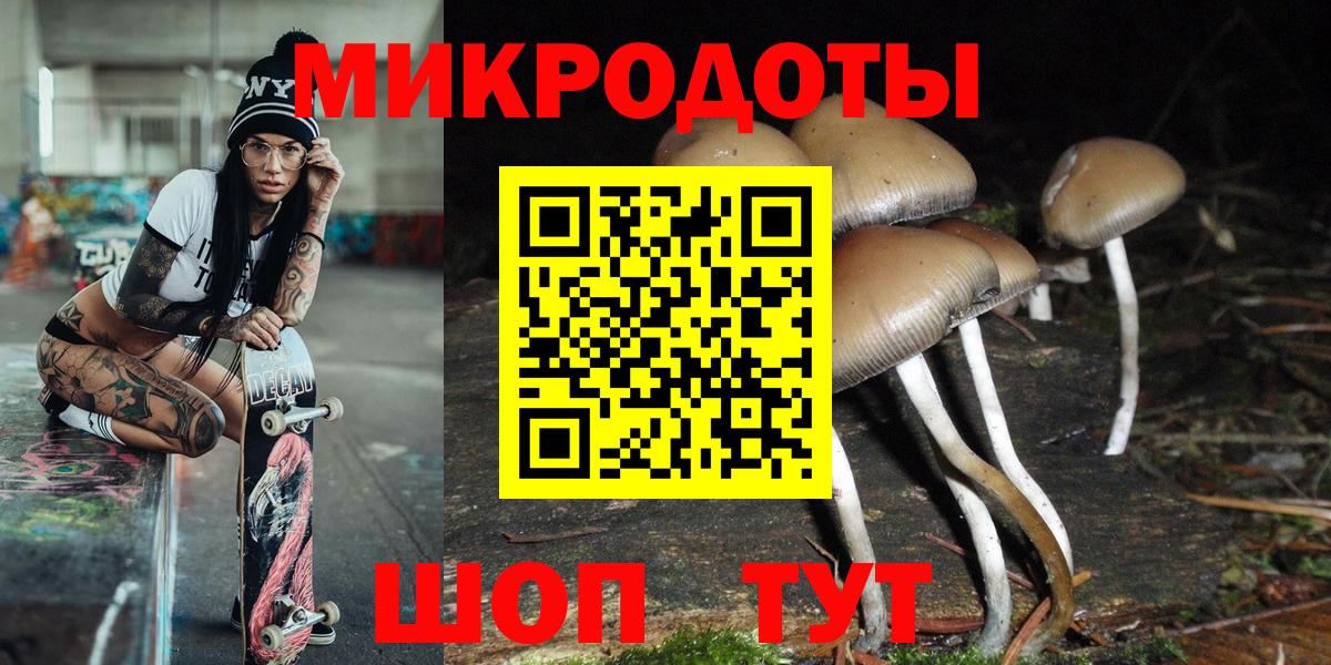 Рузаевка  Галлюциногенные грибы Cubensis  Галлюциногенные грибы Psilocybe  Вход с VPN 